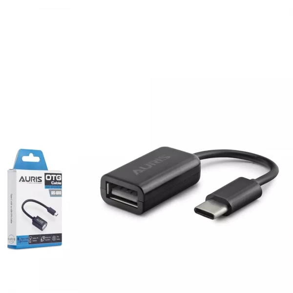AURIS AD06 OTG TYPE-C TO USB KUTULU